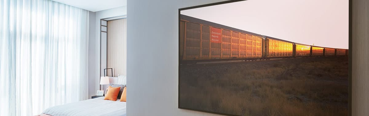 Framed Canvas Prints