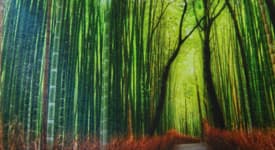 smooth matte wallpaper