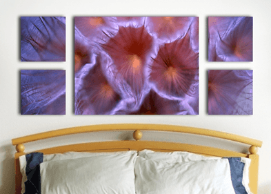 How to Hang 5-Panel Canvas Prints - DYI 5-Piece Wall Pictures